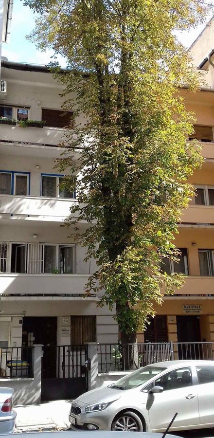 Studio Karma Budapest Exterior foto